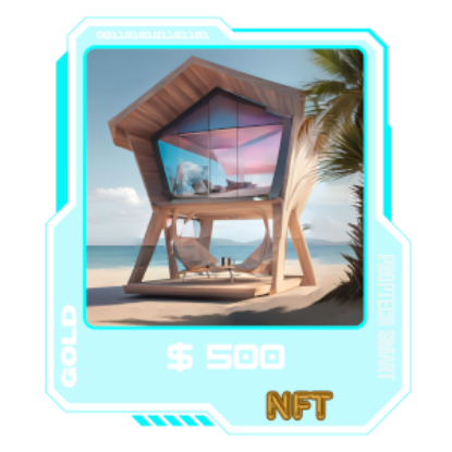 Picture of NFT Gold Pack