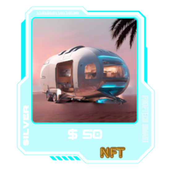 Picture of NFT 50 Silver Pack