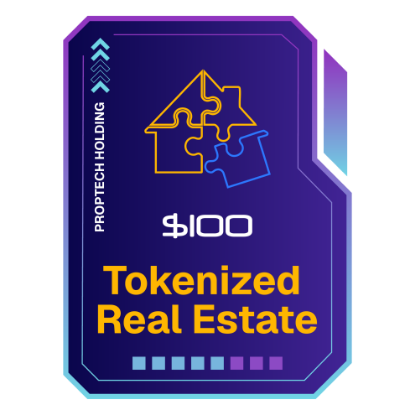 Picture of USA1 RWA NFT